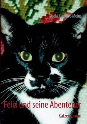 Felix Und Seine Abenteuer (Paperback)