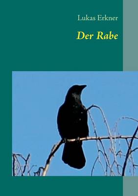 Der Rabe (Paperback)