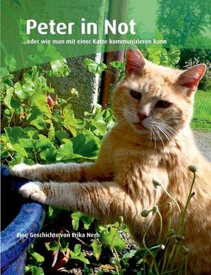 Peter in Not (Paperback)