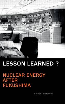 Lesson Learned (Paperback)