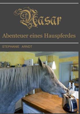 Nasar (Paperback)