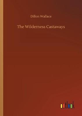 The Wilderness Castaways (Paperback)