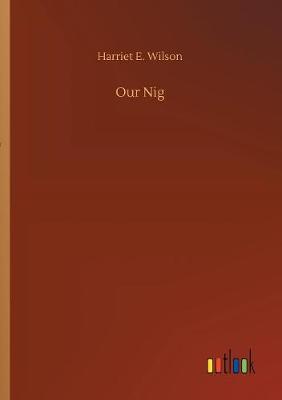 Our Nig (Paperback)