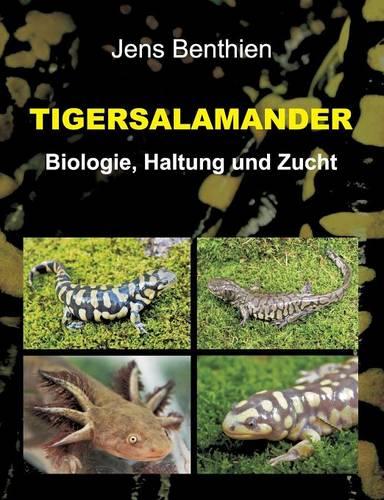 Tigersalamander (Paperback)