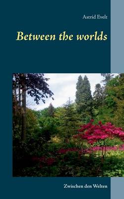 Between the Worlds (Paperback)