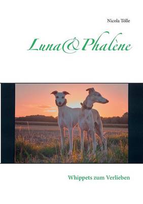 Luna & Phalene (Paperback)