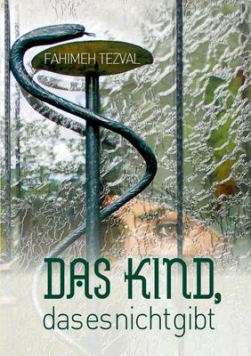 Das Kind, das es nicht gibt (Paperback)
