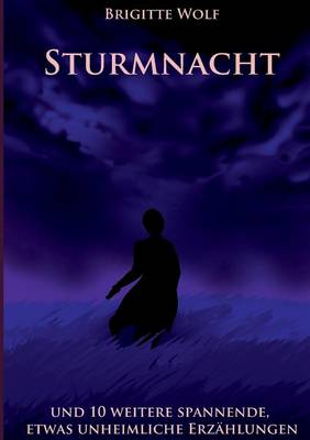 Sturmnacht (Paperback)