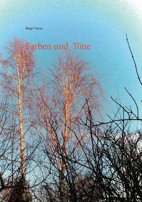 Farben Und Tone (Paperback)