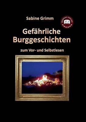 Gefahrliche Buchgeschichten (Paperback)