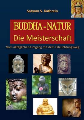 Buddha-Natur (Paperback)