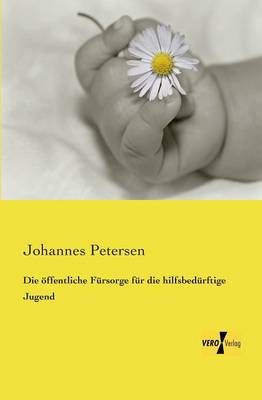 Die oeffentliche Fursorge fur die hilfsbedurftige Jugend (Paperback)
