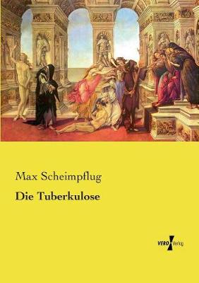 Die Tuberkulose (Paperback)