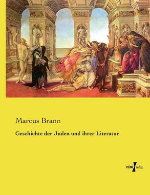 Geschichte Der Juden Und Ihrer Literatur (Paperback)