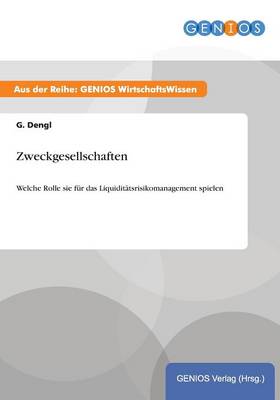 Zweckgesellschaften: Welche Rolle sie fur das Liquiditatsrisikomanagement spielen (Paperback)