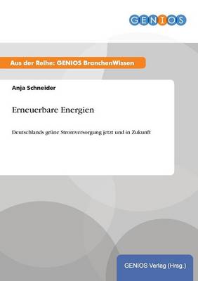 Erneuerbare Energien (Paperback)