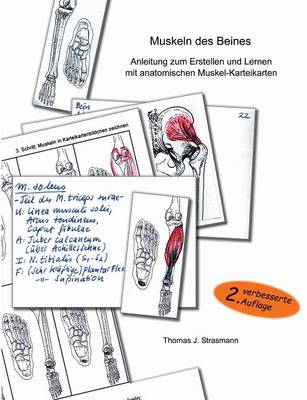 Muskeln Des Beines (Paperback)