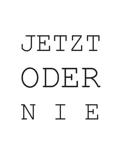 Jetzt Oder Nie (Paperback)