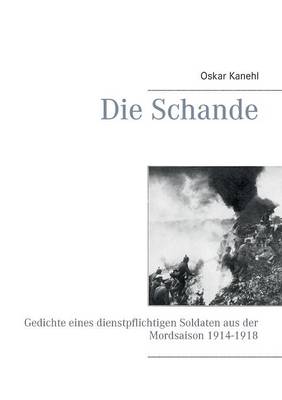 Die Schande (Paperback)