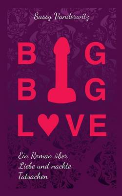 Big Big Love (Paperback)