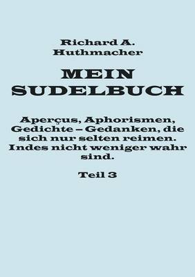 Mein Sudelbuch, Teil 3 (Paperback)