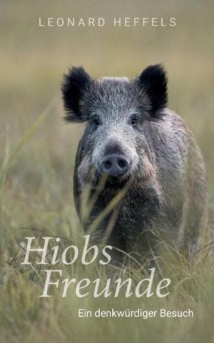 Hiobs Freunde (Paperback)