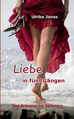 Liebe in Funf Gangen (Paperback)