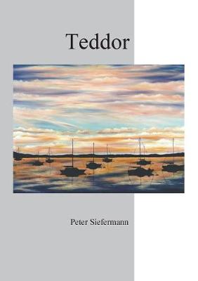 Teddor (Paperback)