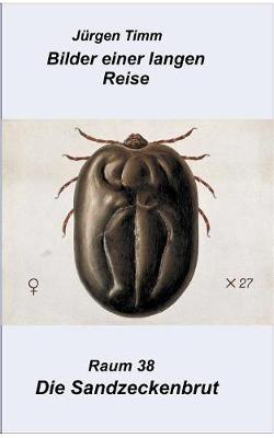 Raum 38 Die Sandzeckenbrut (Paperback)