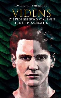 Videns (Paperback)