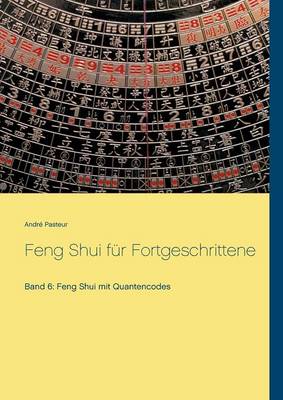 Feng Shui Fur Fortgeschrittene (Paperback)
