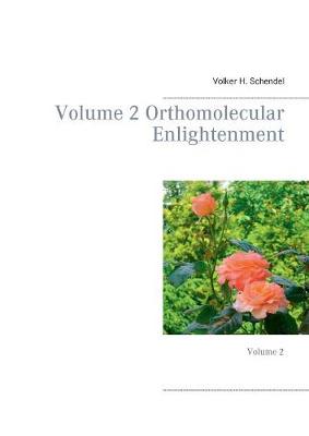 Volume 2 Orthomolecular Enlightenment (Paperback)