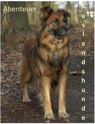 Abenteuer Auslandshunde (Paperback)