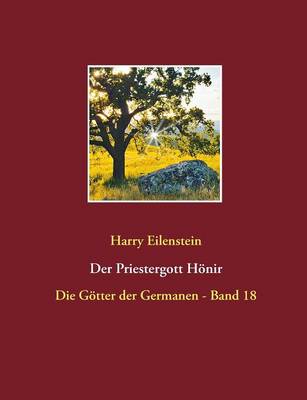 Der Priestergott Honir (Paperback)