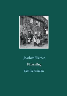 Finkenflug (Paperback)