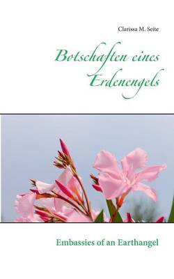 Botschaften Eines Erdenengels (Paperback)