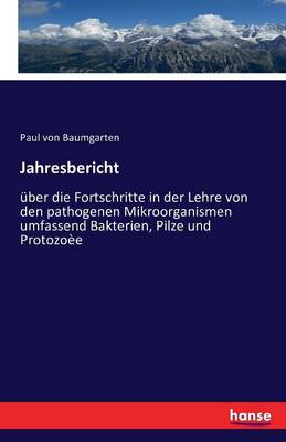 Jahresbericht (Paperback)