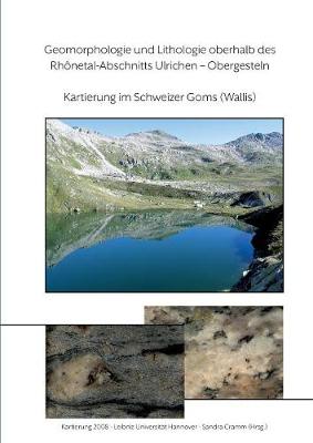 Geomorphologie Und Lithologie Oberhalb Des Rhonetal-Abschnitts Ulrichen - Obergesteln (Paperback)