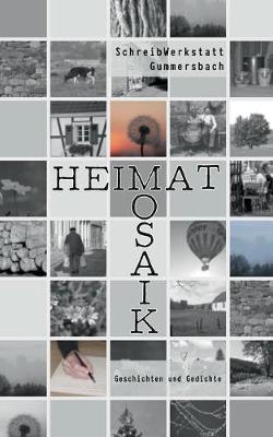 Heimatmosaik (Paperback)