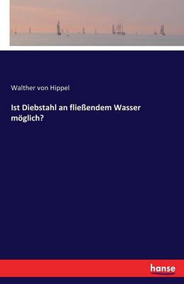 Ist Diebstahl an Flie endem Wasser M glich? (Paperback)