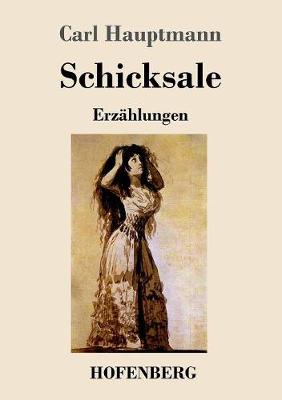 Schicksale (Paperback)