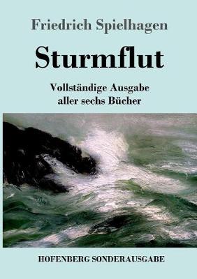 Sturmflut (Paperback)