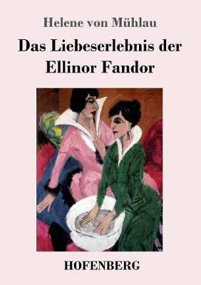 Das Liebeserlebnis Der Ellinor Fandor (Paperback)