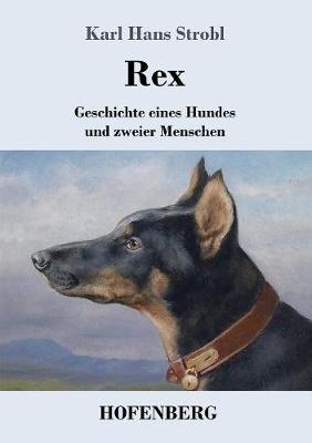 Rex (Paperback)