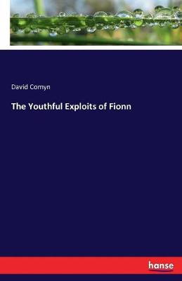 The Youthful Exploits of Fionn (Paperback)