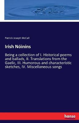 Irish Noinins (Paperback)