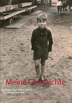 Meine Geschichte (Paperback)