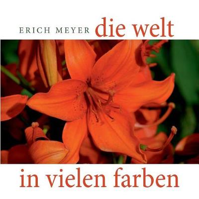 Die Welt in Vielen Farben (Paperback)