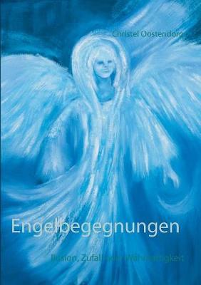 Engelbegegnungen (Paperback)