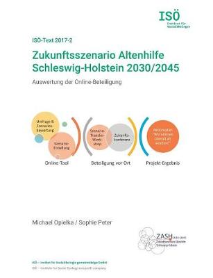 Zukunftsszenario Altenhilfe Schleswig-Holstein 2030/2045 (Paperback)